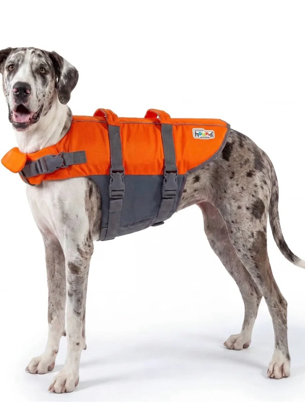 Outward Hound High-Visibility Orange & Gray Dog Life Jacket with Grab Handle